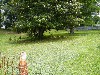 2010_0606_122953 (Large).JPG